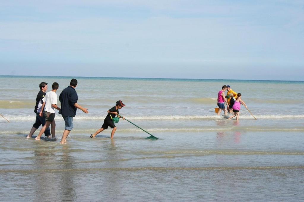 "Le Juguili" 46M2 En Front De Mer - 4 Personnes - Animaux Ok - Entierement Renove - Haut De Gamme - Wifi Mers-les-Bains Extérieur photo